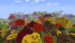 Autumn.jpg