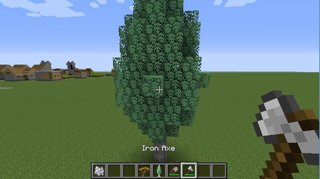 Plik:Cypress.jpg