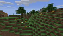 Green Hills.jpg