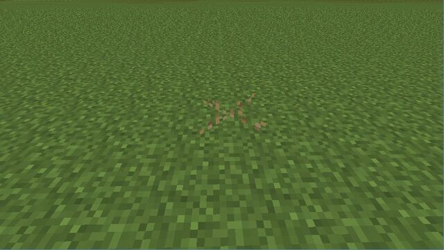 Plik:Dead Yellow Grass.jpg