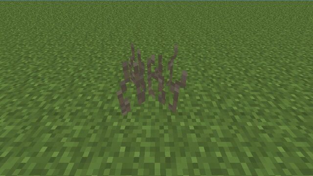 Plik:Tall Dead Grass.jpg
