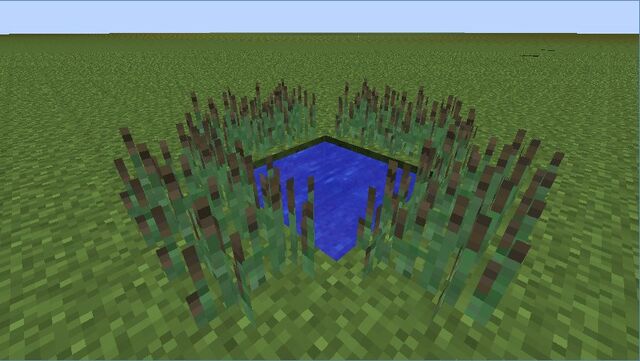 Plik:Cattail.jpg