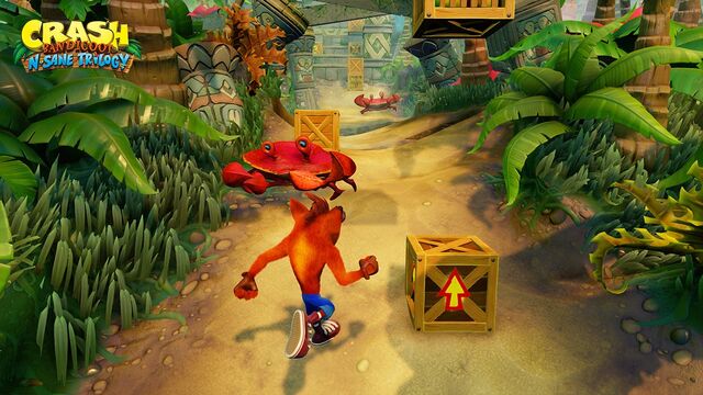 Fichier:Crash4.jpg