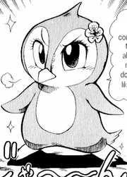 Cocosos.png