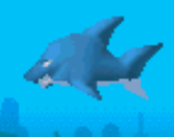 Shark | Bandipedia | Fandom powered by Wikia