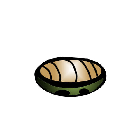 File:Turtle Shell.jpg