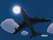 Aerolineas Koala 2