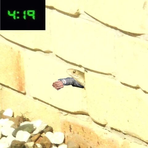 File:Mr Snek.jpg