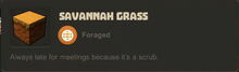 Creativerse Savannah Grass01
