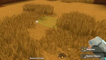 Creativerse Wheat in Savannah Tallgrass001