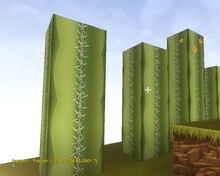 Creativerse cactus flowers high altitude42
