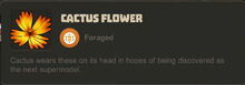 Creativerse Cactus Flower3299