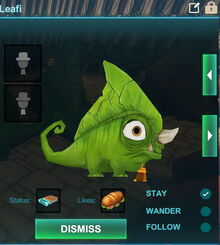 Creativerse leafi 2017-07-20 15-49-28-72