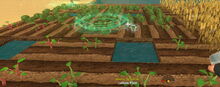 Creativerse Lettuce sprouting229