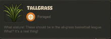 Creativerse Tallgrass