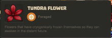 Creativerse Flowers Tundra