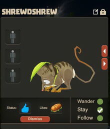 Creativerse Shrewdshrew Pet eating3003