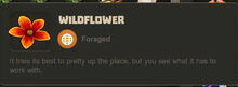 Creativerse Flower Wildflower