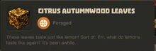Creativerse Autumnwood Leaves881