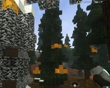 Creativerse Elderwood Beehives