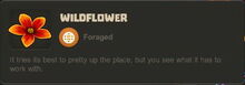 Creativerse Wildflower Savannah2020