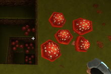 Creativerse red mushrooms138