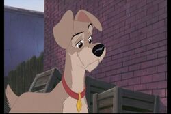 Ladyandthetramp2 534