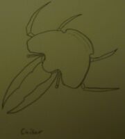 Chiser Concept