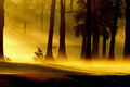 Thumbnail for version as of 01:25, March 21, 2011