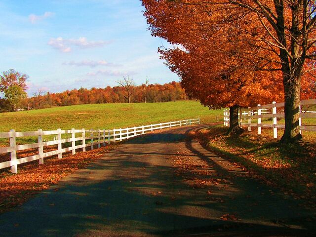 File:Autumn scene 4.jpg