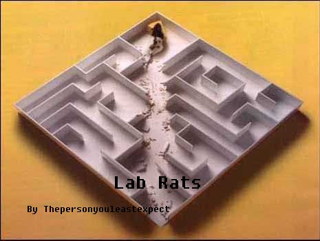 File:Lab Rats.jpg