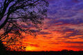 Thumbnail for version as of 01:58, April 16, 2011
