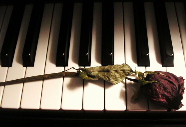 File:Wilted dreams by misseyez-d3n2tit.jpg