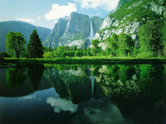 File:Greenscenerywallpaper.jpg
