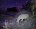 Thumbnail for version as of 20:57, April 15, 2011