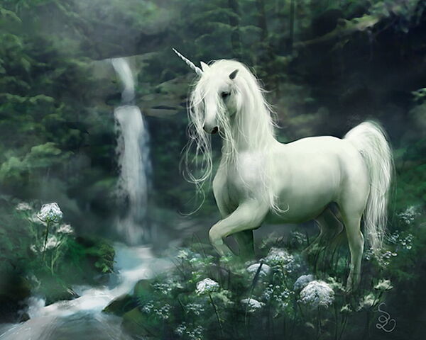 File:Unicorn.jpg