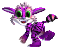 Lilacbengal female