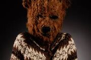 Bear