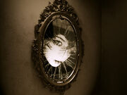 Creepy mirror