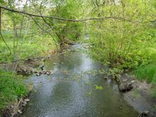 Creek