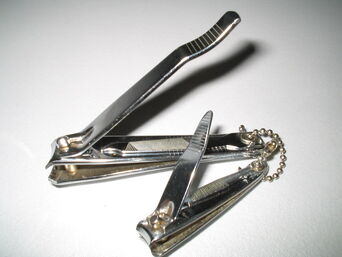 Nagelschaar