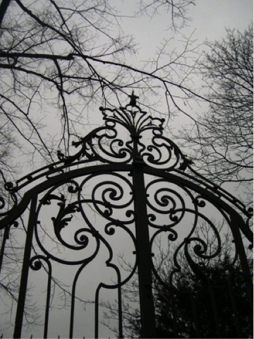 File:Scary Gate.png