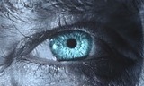 Blue Eye Close Up