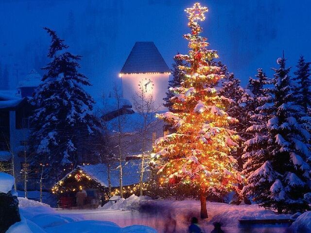 File:Christmas tree.jpg