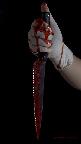 File:Bloody knife009copy.jpg