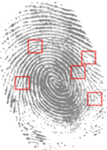 Fingerprint-146242 1280