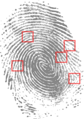 Datei:Fingerprint-146242 1280.png