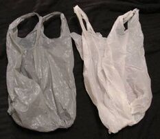 Bags0620