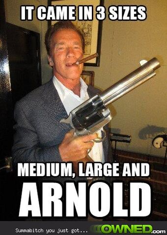 File:Arnolds back 540.jpg