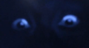 Itseyes